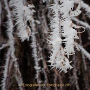 Gefrorenes - Fotograf Olaf Kratge