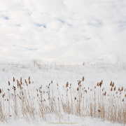 Gefrorenes - Fotograf Thomas Stähler
