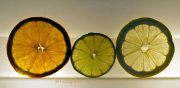 Obst und Gemüse von innen - Fotografin Anne Jeuk
