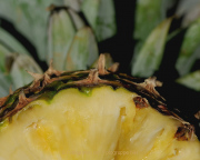 Obst und Gemüse von innen - Fotografin Anne Jeuk