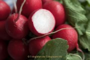 Obst und Gemüse von innen - Fotografin Jutta R. Buchwald