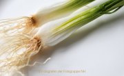 Obst und Gemüse von innen - Fotografin Jutta R. Buchwald