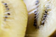 Obst und Gemüse von innen - Fotografin Jutta R. Buchwald