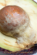 Obst und Gemüse von innen - Fotografin Nicole Gieseler