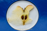 Obst und Gemüse von innen - Fotograf Werner Ch. Buchwald