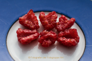 Obst und Gemüse von innen - Fotograf Werner Ch. Buchwald