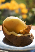 Obst und Gemüse von innen - Fotograf Werner Ch. Buchwald