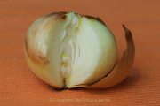 Obst und Gemüse von innen - Fotograf Werner Ch. Buchwald