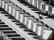 Monatsthema Geometrische Muster - Fotograf Henry Mann