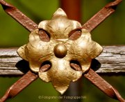 Monatsthema Geometrische Muster - Fotograf Henry Mann