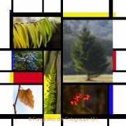 Monatsthema Geometrische Muster - Fotografin Jutta R. Buchwald