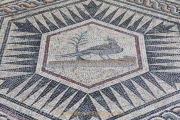 Monatsthema Geometrische Muster - Fotograf Werner Ch. Buchwald