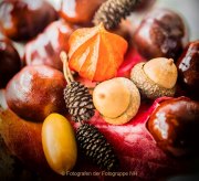 Herbstliches - Fotografin Jutta R. Buchwald