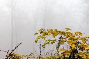 Herbstliches - Fotografin Jutta R. Buchwald