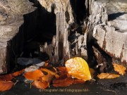 Herbstliches - Fotografin Anne Jeuk