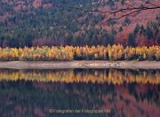 Herbstliches - Fotografin Anne Jeuk