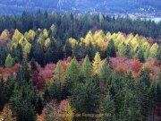 Herbstliches - Fotografin Anne Jeuk