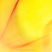 Monatsthema Kurven/Kurviges - Fotografin Jutta R. Buchwald