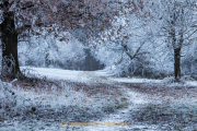 Monatsthema Kurven/Kurviges - Fotograf Werner Ch. Buchwald