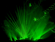 Monatsthema Licht/beleuchtet - Fotografin Anne Jeuk