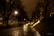 Monatsthema Licht/beleuchtet - Fotograf Clemens Schnitzler