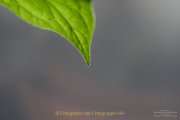Monatsthema Minimalismus - Fotograf Clemens Schnitzler