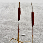 Monatsthema Minimalismus - Fotograf Henri Mann