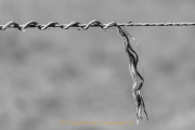 Monatsthema Minimalismus - Fotografin Jutta R. Buchwald