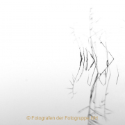 Monatsthema Minimalismus - Fotografin Nicole Gieseler