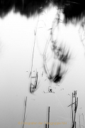 Monatsthema Minimalismus - Fotografin Nicole Gieseler