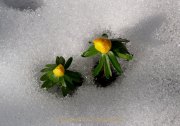 Monatsthema Paare/Paariges - Fotografin Anne Jeuk