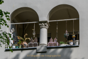 Monatsthema Paare/Paariges - Fotograf Clemens Schnitzler
