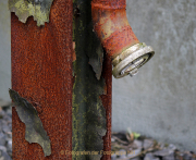 Rost - Fotografin Anne Jeuk