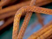 Rost - Fotografin Anne Jeuk