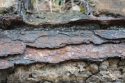 Rost - Fotograf Olaf Kratge