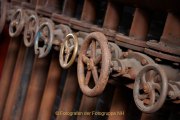 Rost - Fotograf Thomas Stähler
