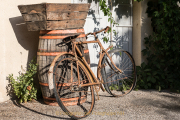 Rost - Fotograf Werner Ch. Buchwald