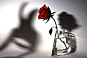 Thema Schatten -Fotograf Thomas Stähler