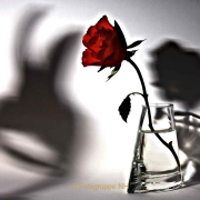 Thema Schatten -Fotograf Thomas Stähler