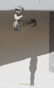 Thema Schatten -Fotograf Henry Mann