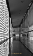 Thema Schatten -Fotograf Henry Mann