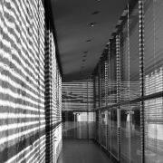 Thema Schatten -Fotograf Henry Mann