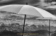 Monatsthema Schwarz-Weiss - Fotograf Henry Mann