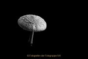 Monatsthema Schwarz-Weiss - Fotografin Jutta R. Buchwald