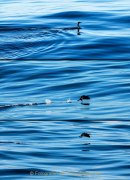 JRB_03_IMG_9835_37_38_1_kl