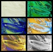 Stefan_Zimmermann_Sequenz-03