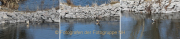 WCB_Saeger_01