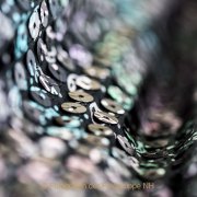 Monatsthema Stoffe - Fotografin Jutta R. Buchwald