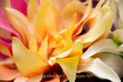 Monatsthema Stoffe - Fotografin Nicole Gieseler