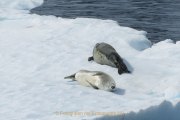 Monatsthema Tierisches - Fotografin Jutta R. Buchwald